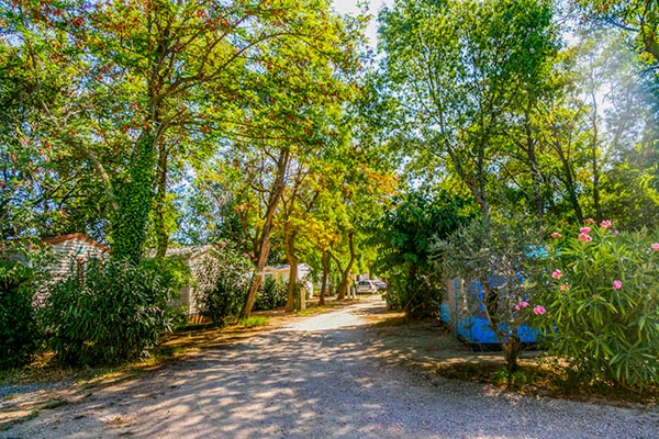 camping à perpignan